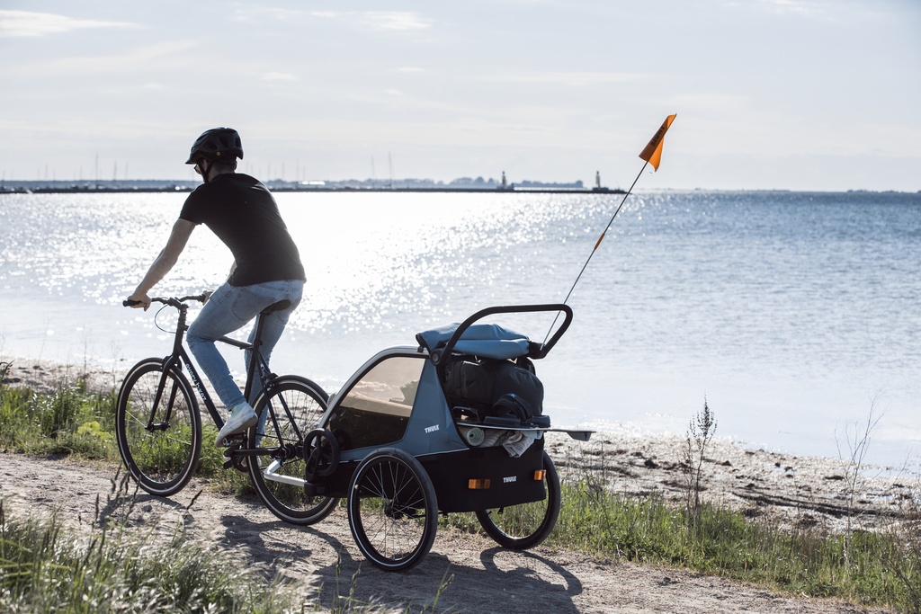 Thule Fietskar courier 2 Blue