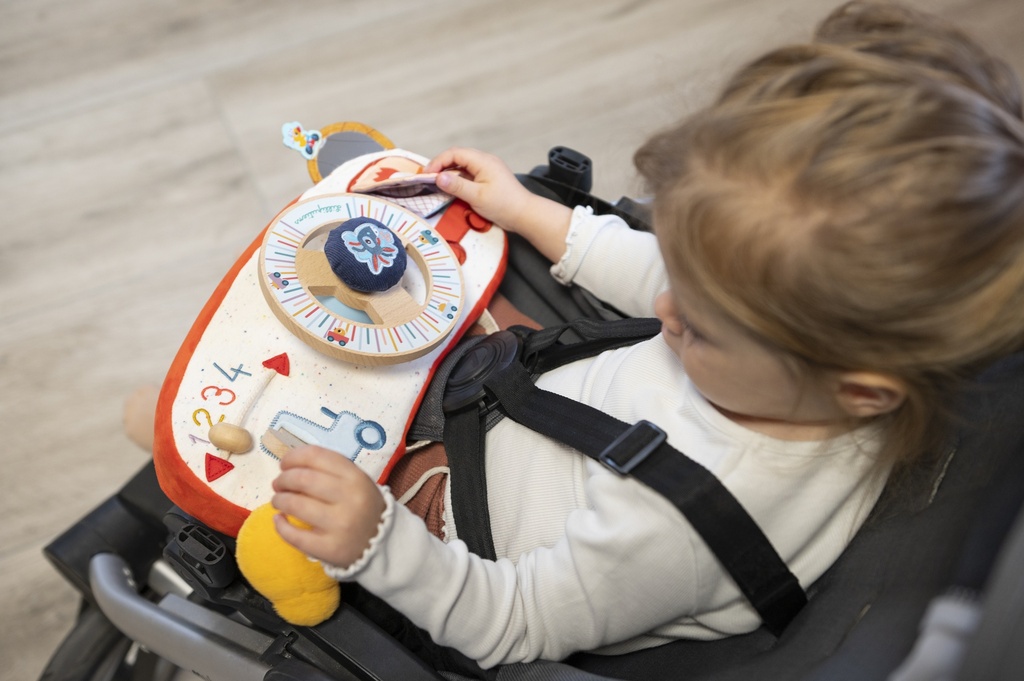  Activiteitenpaneel Boerderij auto