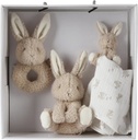 Little Dutch Coffret-cadeau Baby Bunny